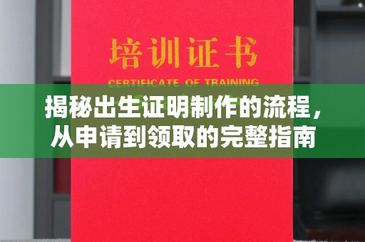 江宁揭秘出生证明制作的流程，从申请到领取的完整指南
