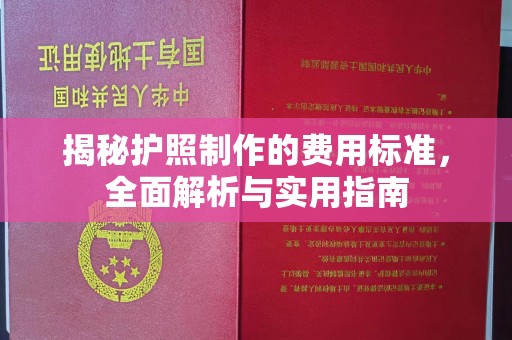 江宁揭秘护照制作的费用标准，全面解析与实用指南