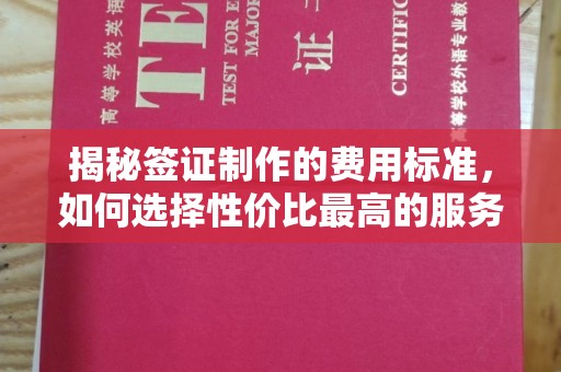 江宁揭秘签证制作的费用标准，如何选择性价比最高的服务？
