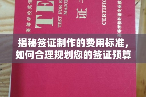 江宁揭秘签证制作的费用标准，如何合理规划您的签证预算？