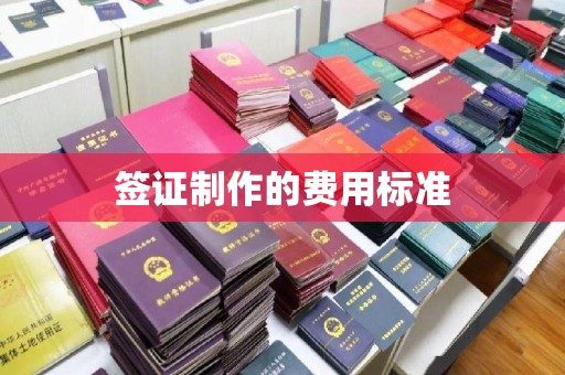 江宁签证制作的费用标准